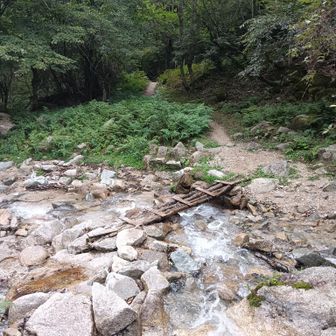 ダケ道で大山口まで降りて来た