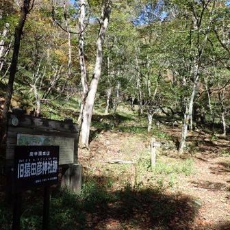 朝はあんまり見えなかった猿田彦神社跡
建坪で百坪もあったらしい。昭和21年焼失