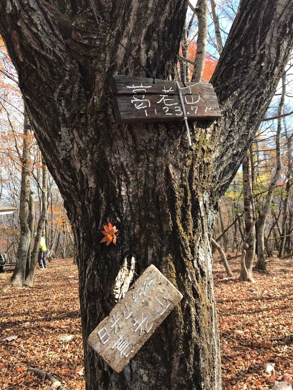 頂上