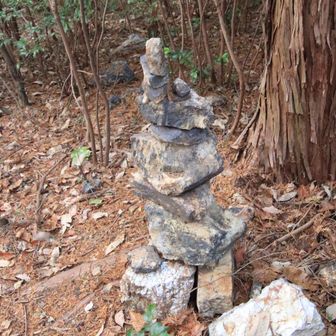 ここにもケルン