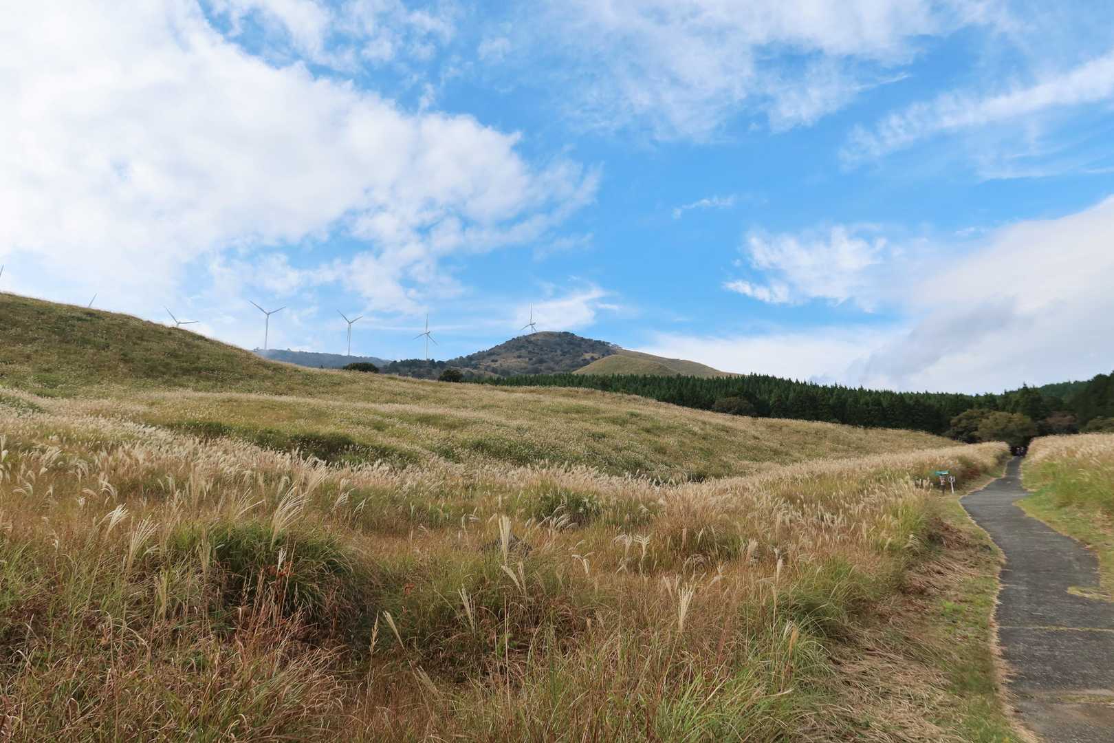 やっぱり下から見上げる三筋山がいいね👍