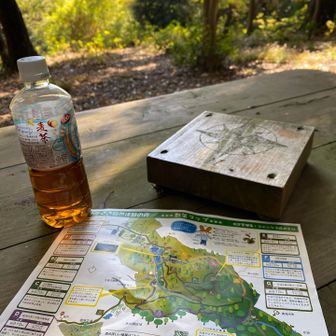 スタッフさんおすすめのDコースはYAMAPにはないルート、いってみようかなぁ🤔