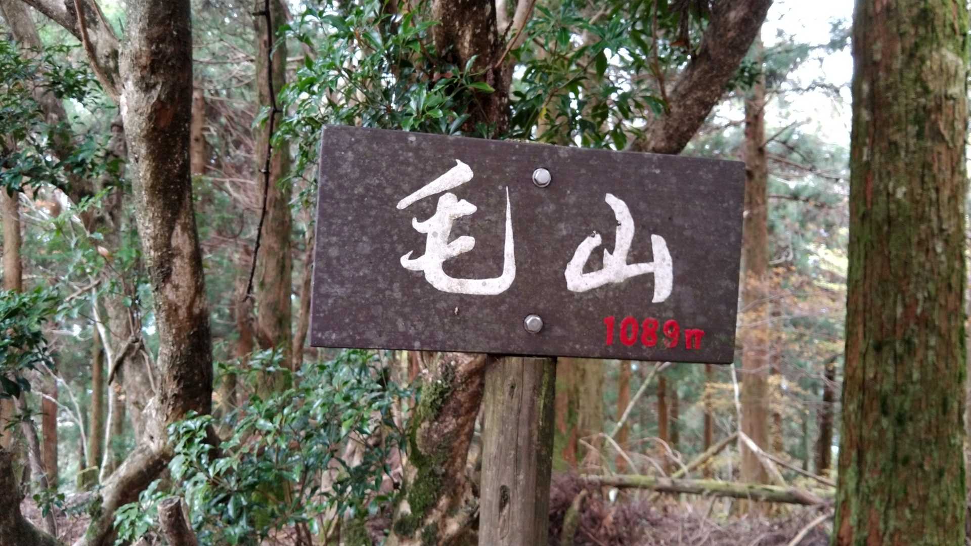 毛山の写真