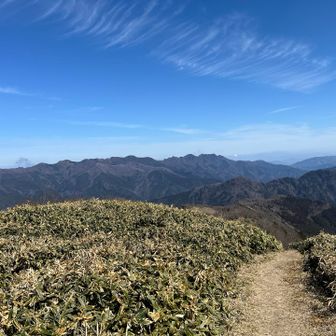 このまま歩いていきたい…
でも夕方楽しいお約束が待ってる…
仕方ない！また今度来ますわ。