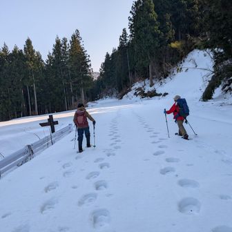 今度は何処へ行くのだろう？私は、さっぱり分からなかった！