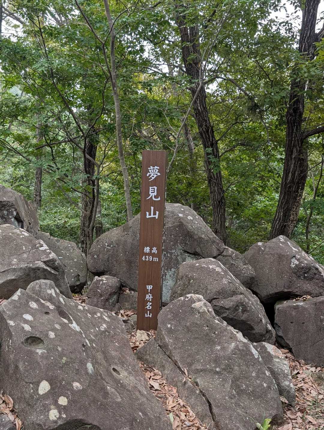 ２、３分で山頂🥳