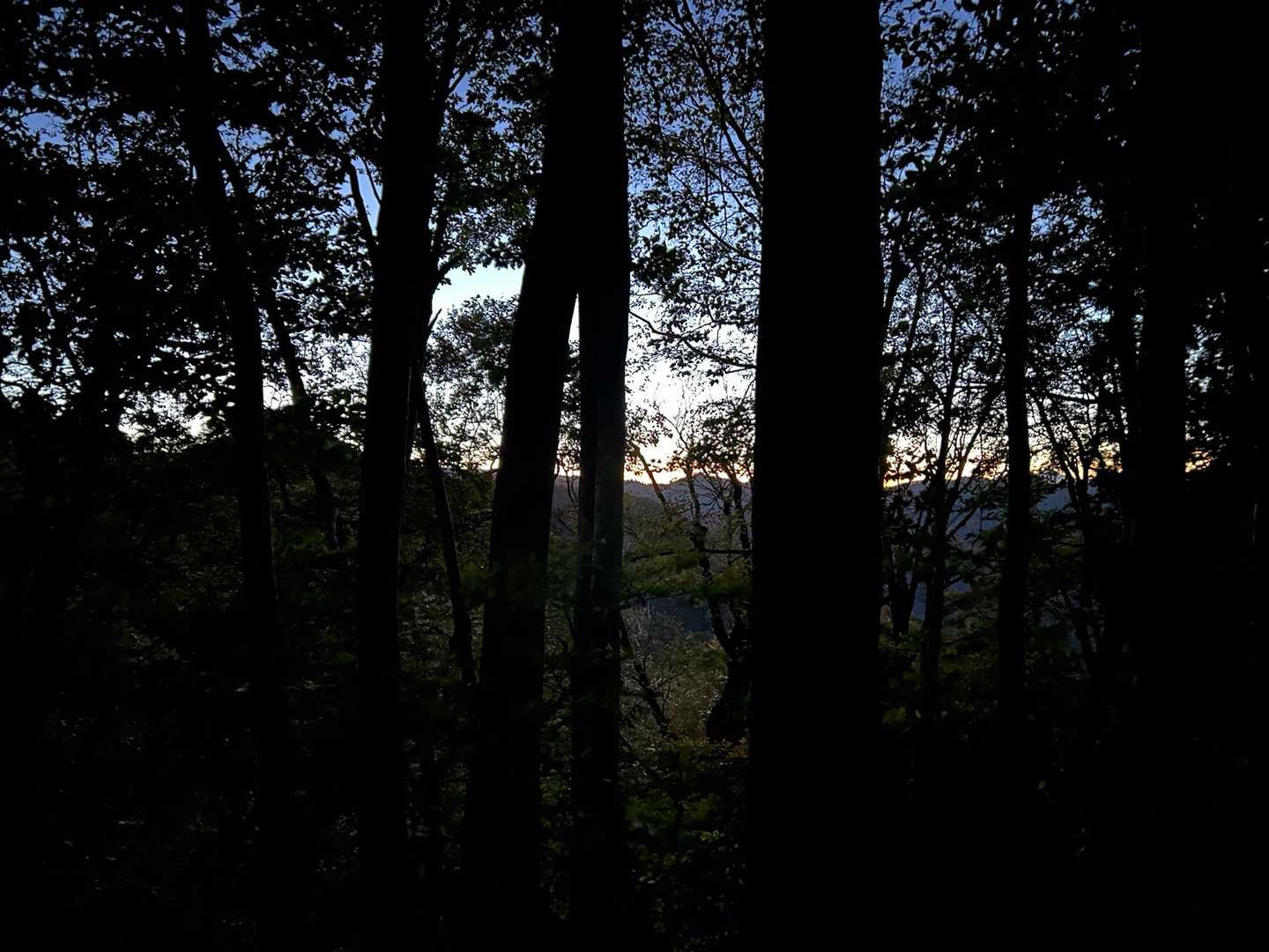 御沢登山口-横峰 縦走コースの写真
