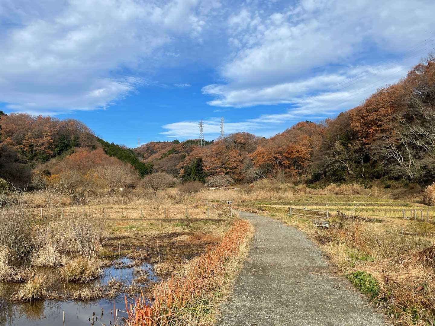 奥へと水田が続いていて棚田っぽい風景が楽しめる。人は全然いなかった