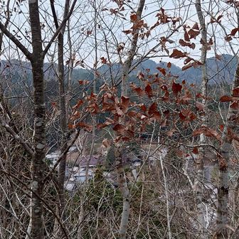 休憩所そばから撮影したけれど､ この位の眺望しか無いです｡