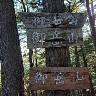 高原地図🗺️には記載されていない御岳山(鋸山11峰)を通過します❗