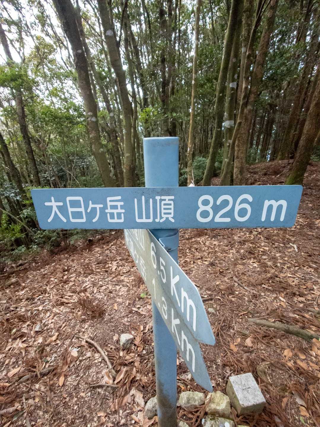 大日ヶ岳に登頂🙌
こっちは眺望無くて、ただキツイだけです(笑)
本当はこの先が楽しいんですが、今日はここで引き返します🙏