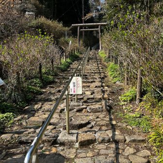 ん？
アジサイ坂
あれ？
写真の順番
間違えてる？？
いや
合ってるのか(◦ˉ ˘ ˉ◦)