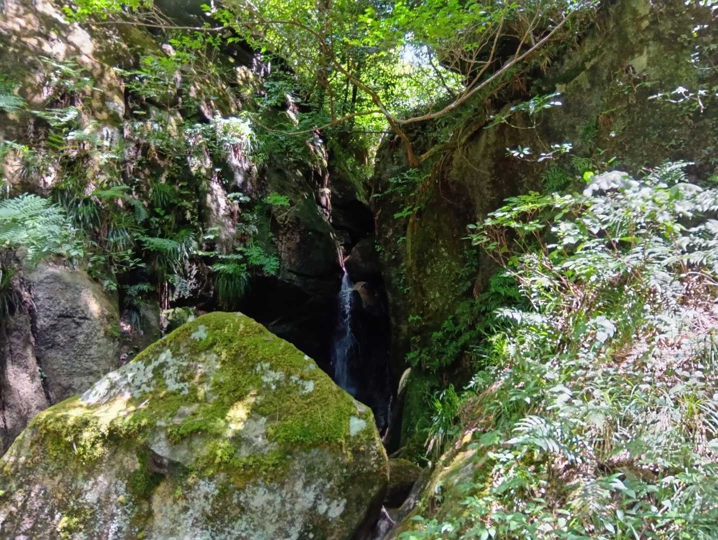 玉峰山 周回コースの写真