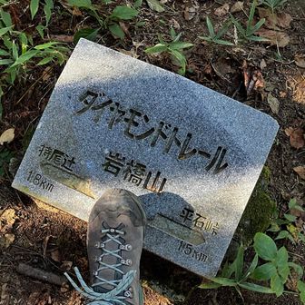 石橋山