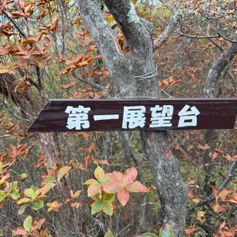 気になる眺望は…
