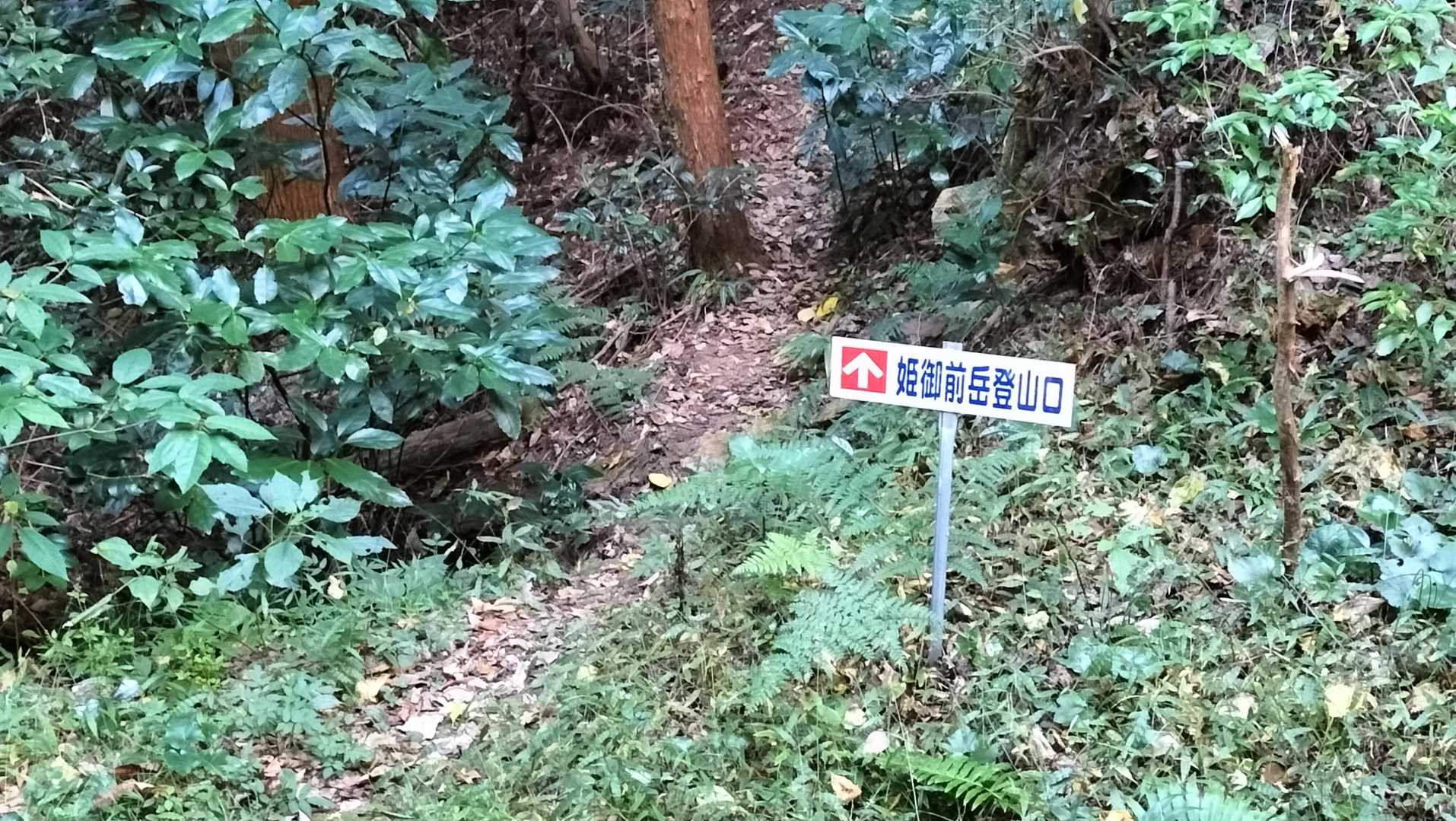 姫御前岳の登山口
雌岳ほどではありませんが、ここもそれなりに急登💦