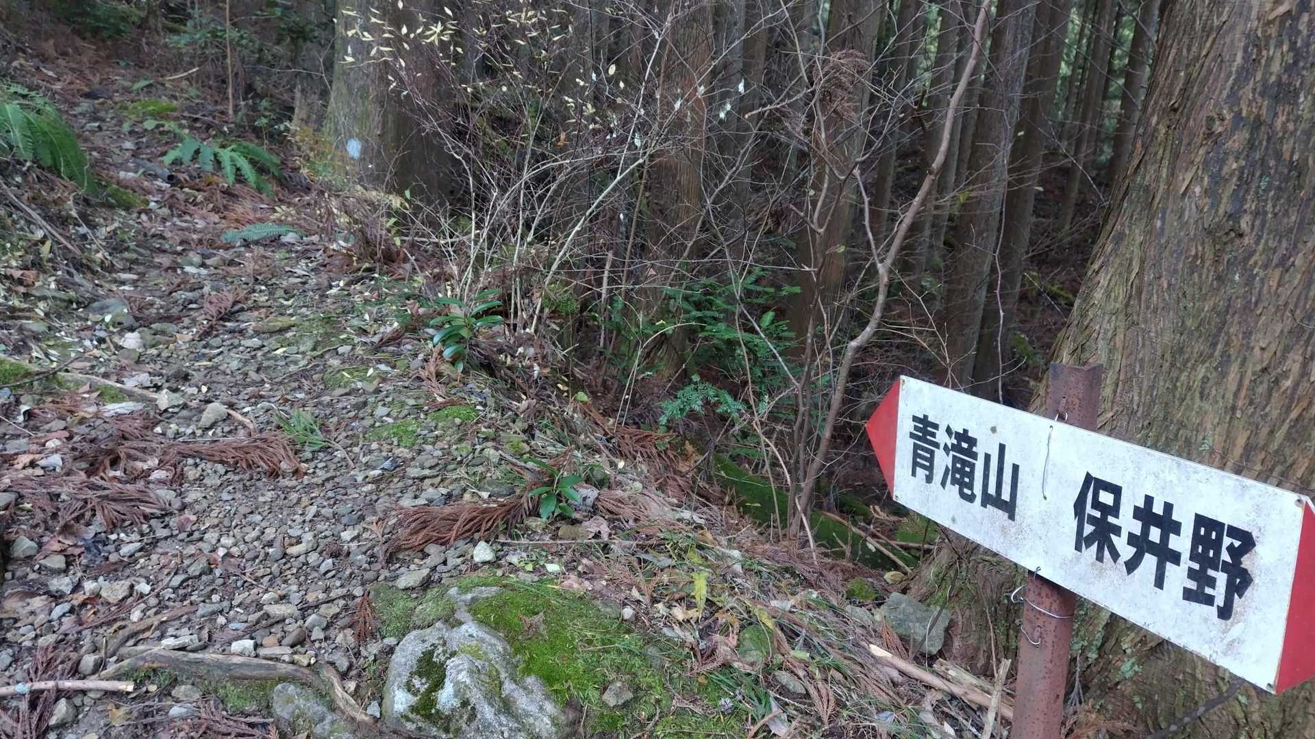 青滝山分岐👉
