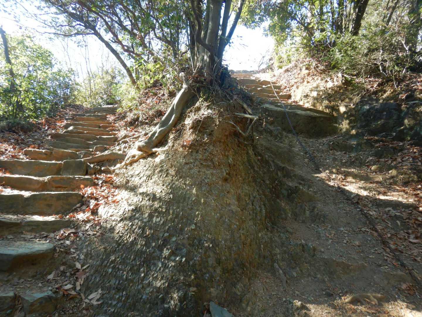 天覧山-多峯主山 周回コースの写真
