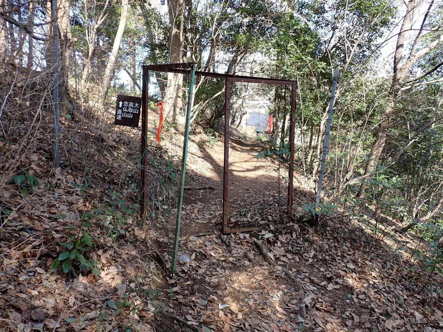 秦野駅-弘法山公園入口登山口-権現山-弘法山-善波峠-善波 縦走コースの写真