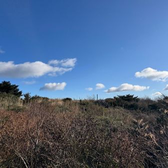 岩樋山の山頂が見えてきました。看板の木が立ってますね☺️
