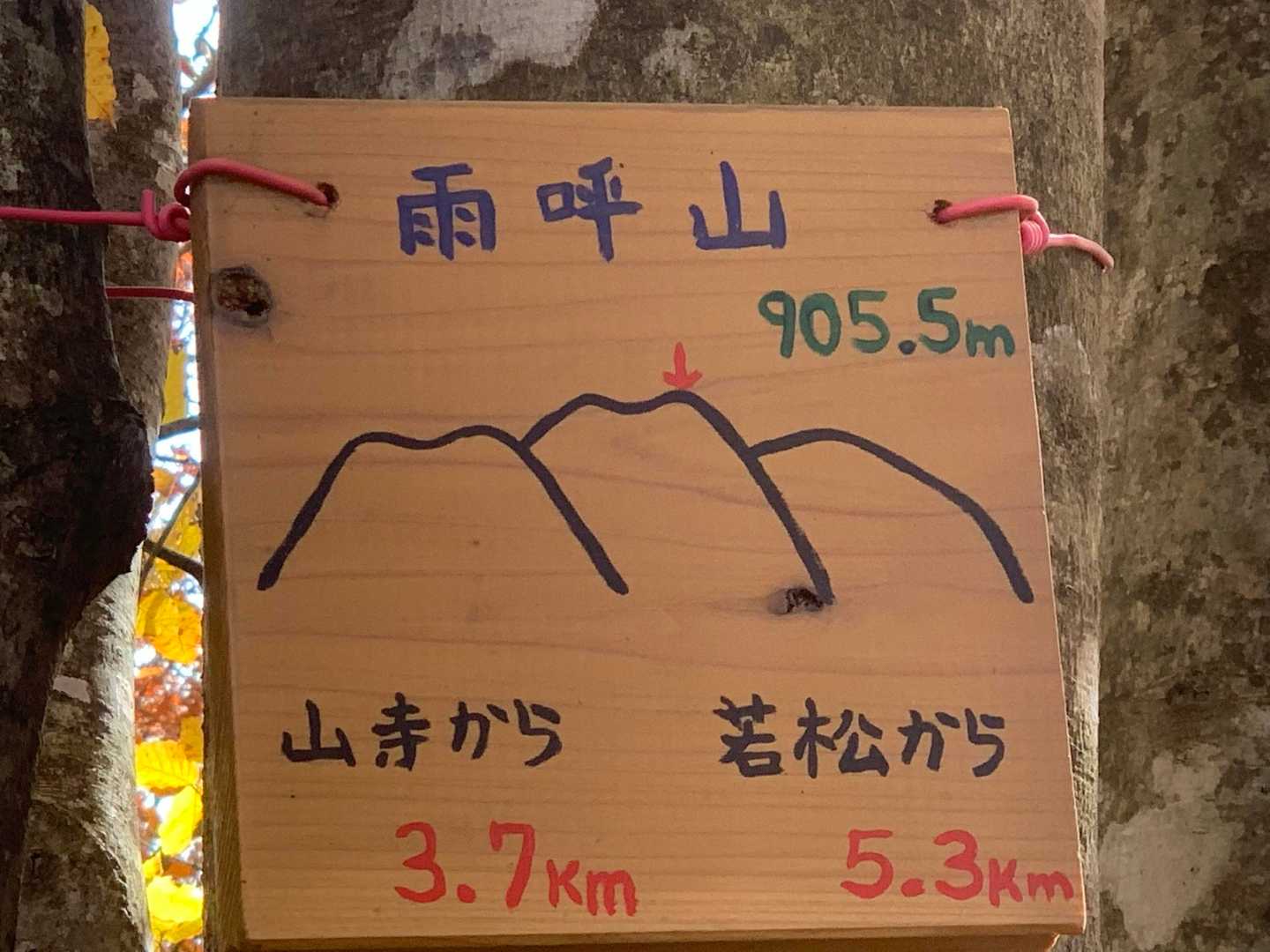 山寺観音千手院-雨呼山-鵜沢山-三角山-三角山登山口 縦走コースの写真