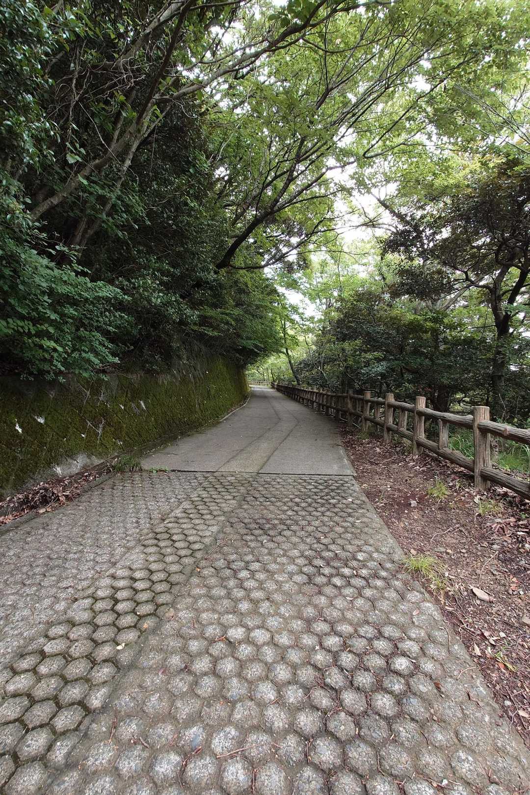 天筒入口 周回コースの写真
