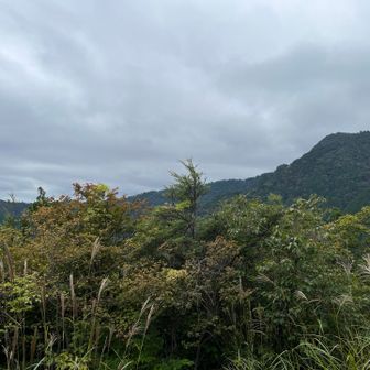 展望台は来る価値があった。ただ、日差しがあれば、もっと楽しめたろうに。