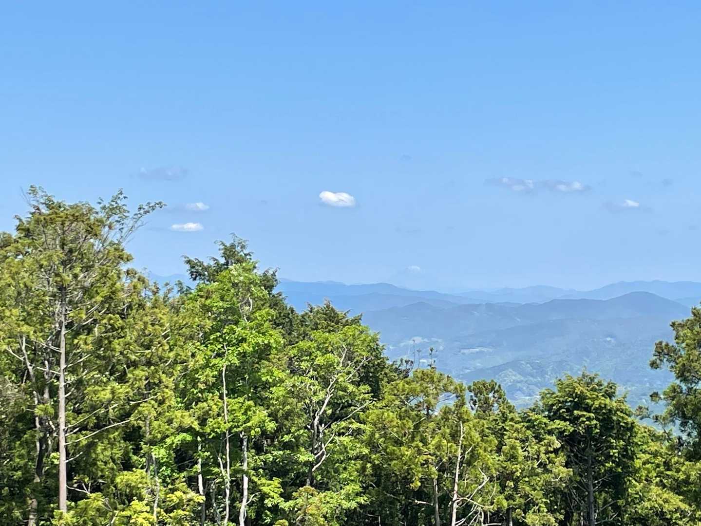 今日は富士山が春なのによく見える🗻
(浜松在住者の見解ですw)