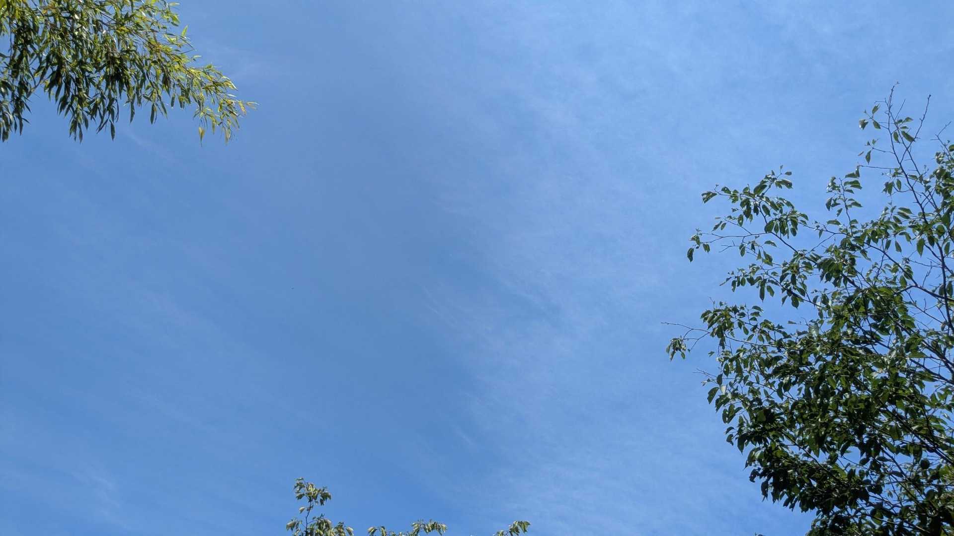 下山後写真が1枚もないことに気づき、歴史広場で📸