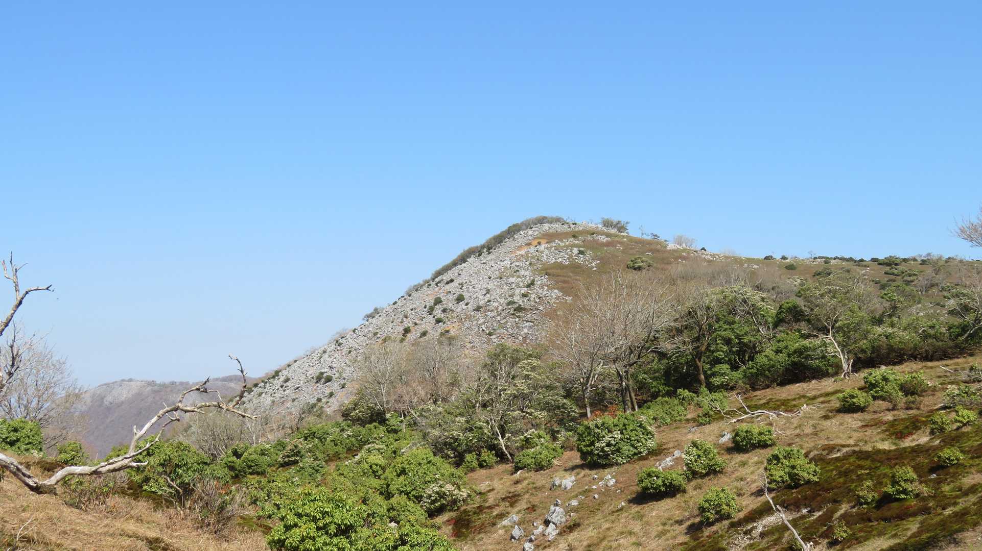 聖宝寺-藤原岳-藤原岳登山口 縦走コースの写真