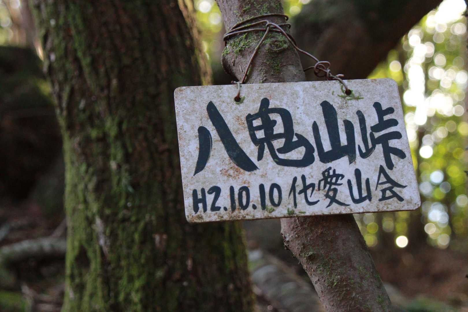 八鬼山越え登り口-九木峠-荒神堂-八鬼山-桜の森広場 往復コースの写真