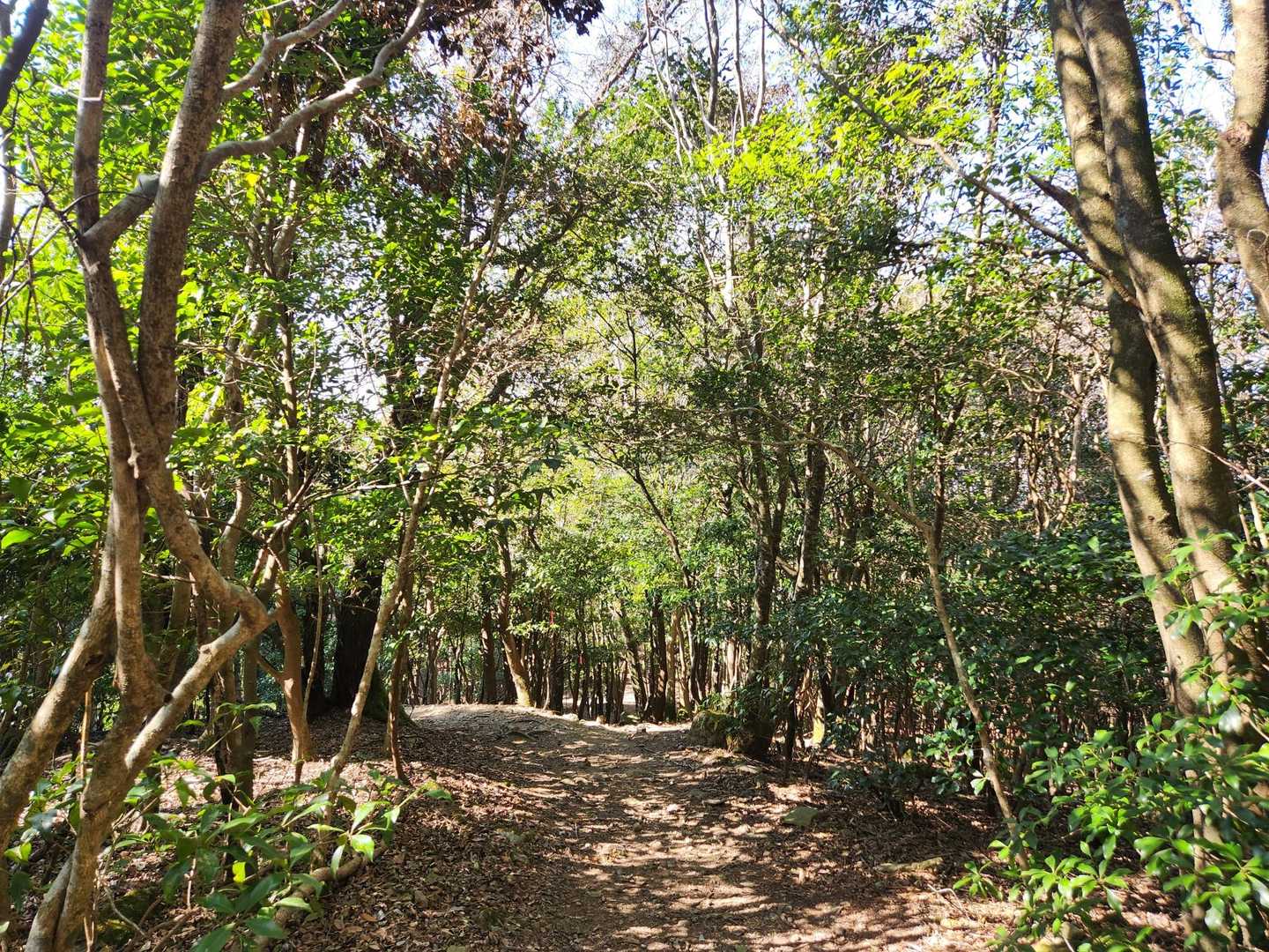 下山するよ
暫くは幸せロード🫶