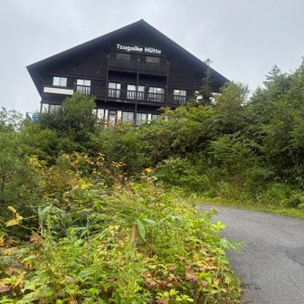 栂池ヒュッテ。
ゴンドラ、ロープウェイの時間があるので、朝早く行動開始したい方には選択肢の一つになるのだと知りました
