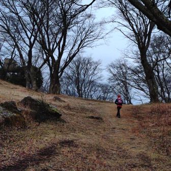 まずは一ノ峰を目指します✨️