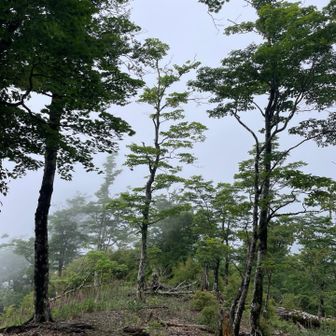 分岐点での行き先①