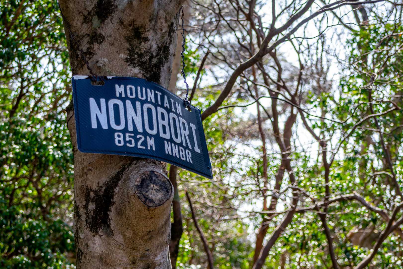 坂本棚田バス停-野登山 往復コースの写真