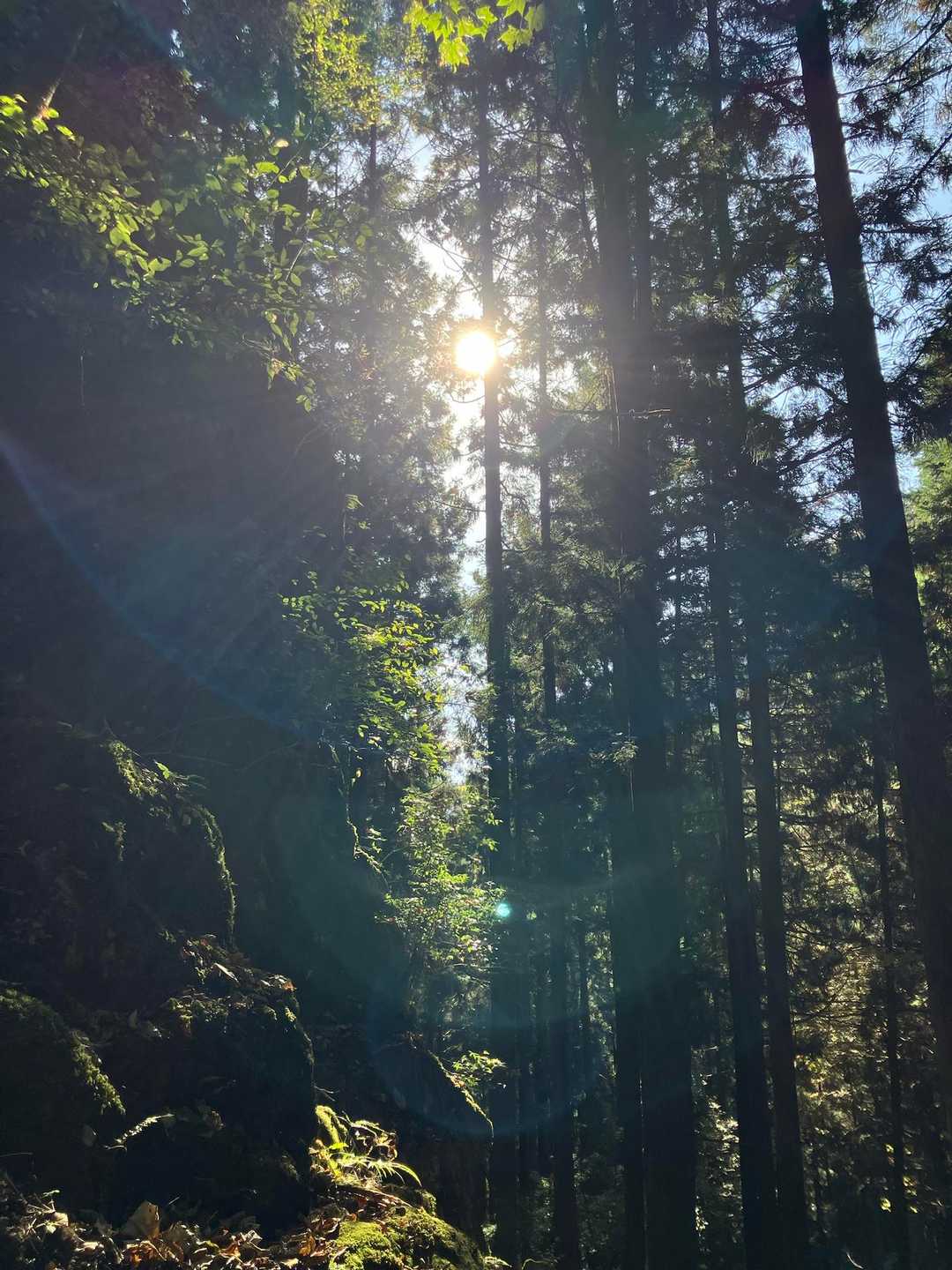 太陽に向かって下山開始します。