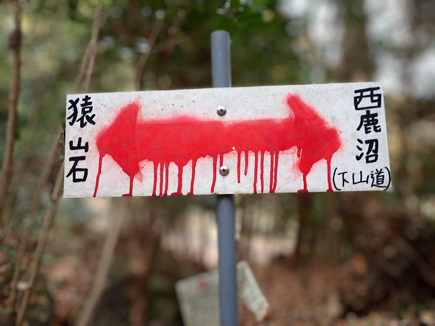 おどろおどろしい😨
「猿山石」に見えてしまうのは
私だけだろうか…(o_o)