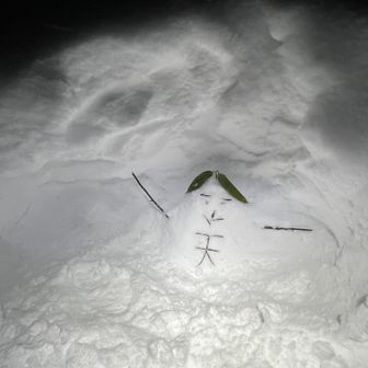 ふーちゃんの⛄️は、雪のかたまりになってしまったよ🥲🙏

てんちゃん頑張ってます！