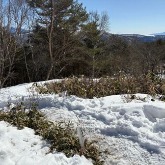 和田山からの富士山🗻