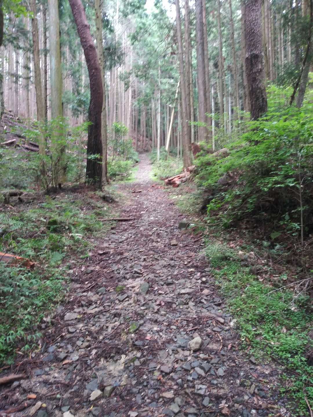 石だらけ