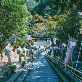 この後、三ツ池公園でもう1ピーク取る予定だったけど、綱島街道で疲れたので帰ります。