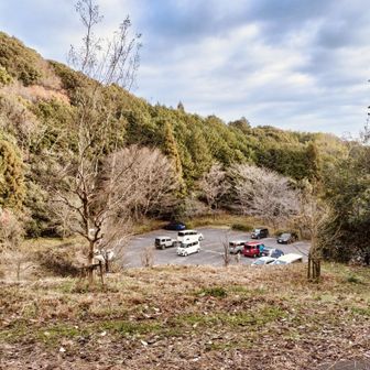 ポケットパーク🅿