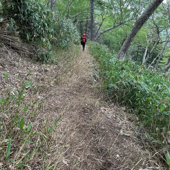 藪漕ぎで有名な道だったけど、薮が刈られてました
歩きやすくていいけど、これはこれで少し寂しい😔