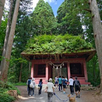 戸隠神社