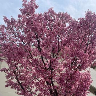 暑い🥵汗だくやん💦💦