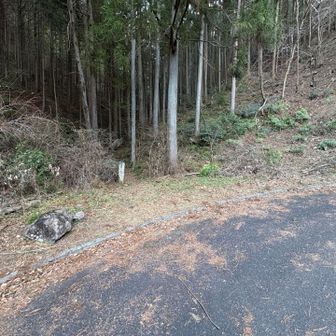 ここから登山道へ入ります

白杭にツツジ山へとありました

見落として軽快に通過。。。戻る💦
