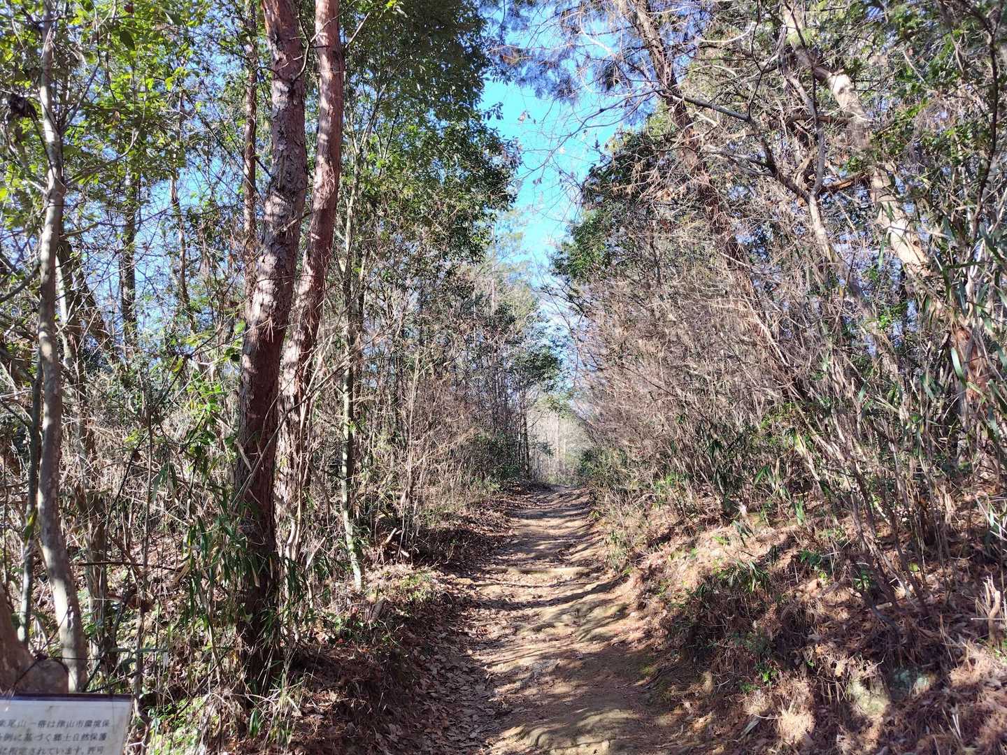 明るい登山道☀