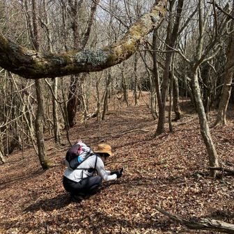 ちもみんさんはトリカブトの赤ちゃん撮影中