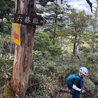 六林班の分岐。